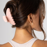 Claw Clip
